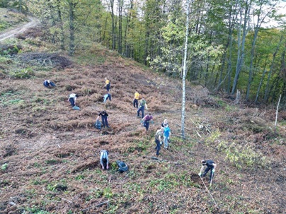 posumljavanje.30.11.cetiri