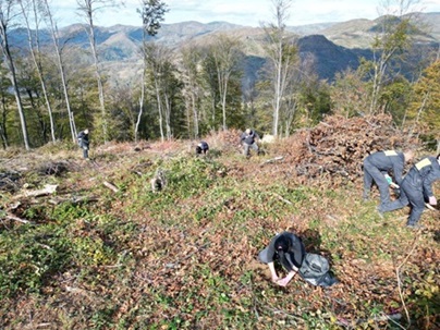 posumljavanje.30.11.dva