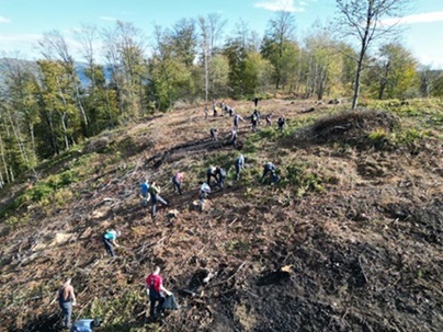posumljavanje.30.11.jedan